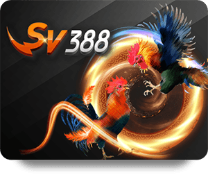 868VIP Review: Dịch vụ giải trí chất lượng cao, đáng tin cậy?
